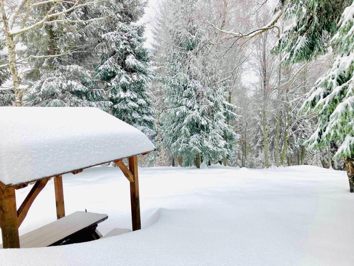 Pine Lodge Hlevci Zewnętrze zdjęcie